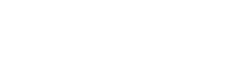 Download the STOLO Course Workbook 